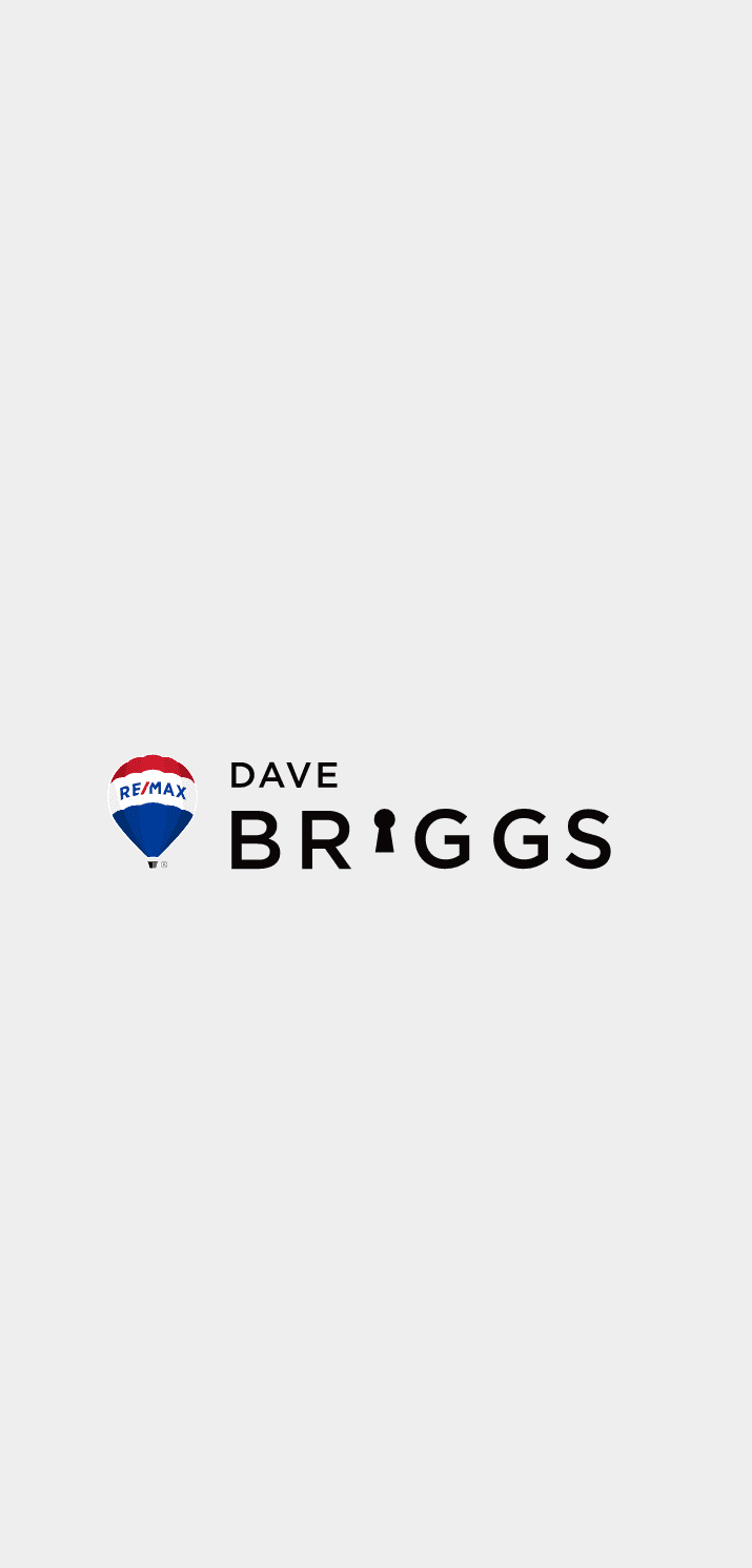 Dave Briggs